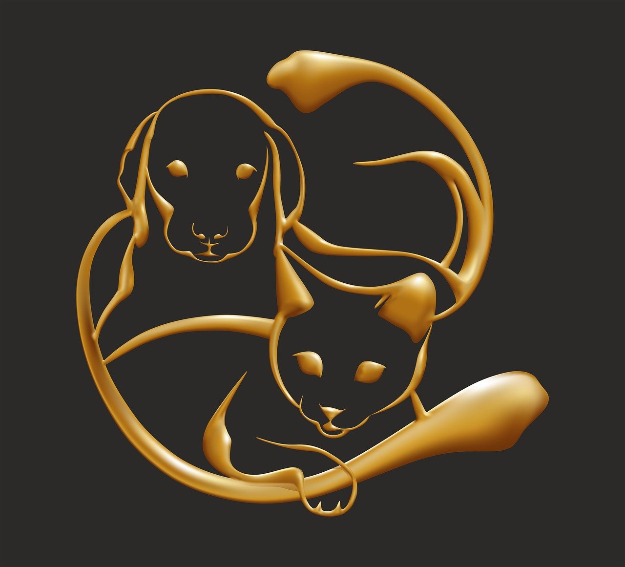 ZENWISH.FR votre boutique animalière pour chiens et chats
