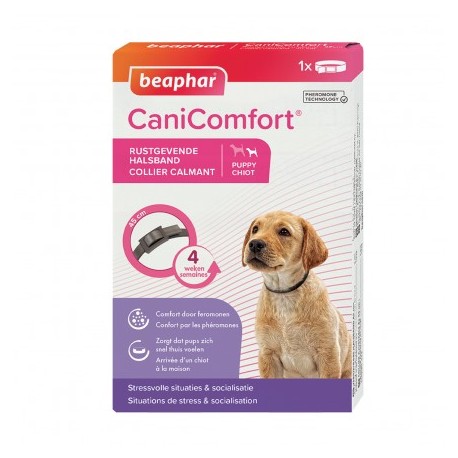 collier-calmant-canicomfort-aux-pheromones-pour-chien-beaphar