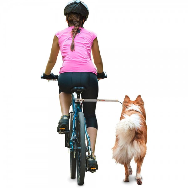 faire-du-velo-avec-un-chien-accessoires-walky-dog-camon