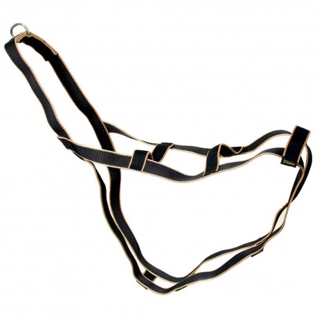 harnais-pour-chien-de-traineau-safran-arka-haok