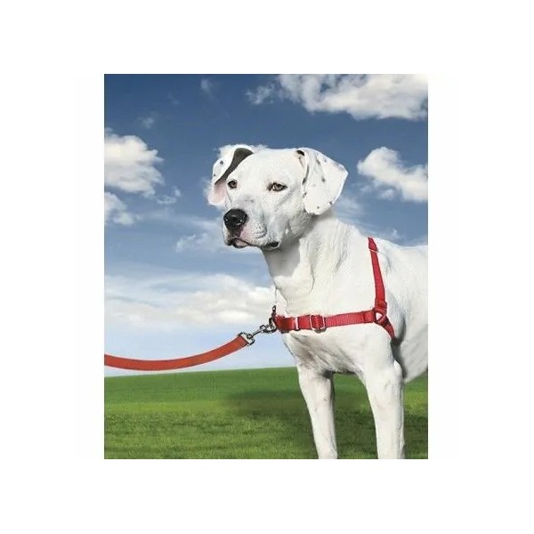 harnais-et-laisse-easywalk-pour-chien-en-nylon-rouge-beeztees