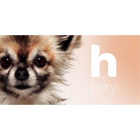 soin-des-yeux-pour-chien-h-by-hery (2)