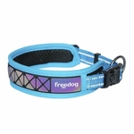 collier-reflechissant-pour-chien-boreal-bleu-freedog