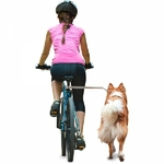 faire-du-velo-avec-un-chien-accessoires-walky-dog-camon
