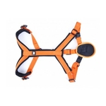 harnais-pour-chien-canicross-basic-couleur-orange-arka-haok