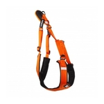 harnais-pour-chien-canicross-basic-couleur-orange-arka-haok (1)