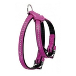 harnais-collerette-pour-chiens-strass-fuchsia-monte-carlo-karlie