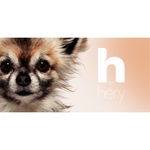 soin-des-yeux-pour-chien-h-by-hery (2)