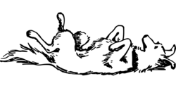 animal-1299122_1280