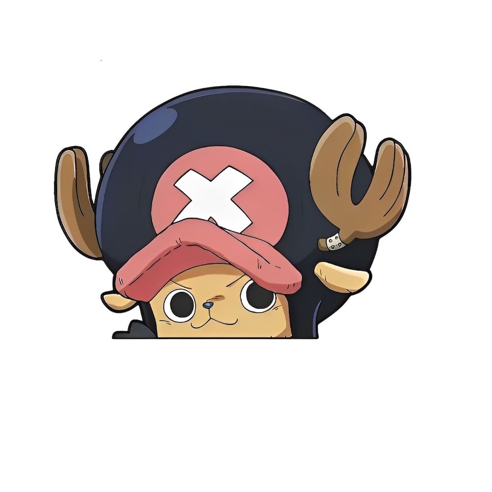 autocollant one piece face rd 2