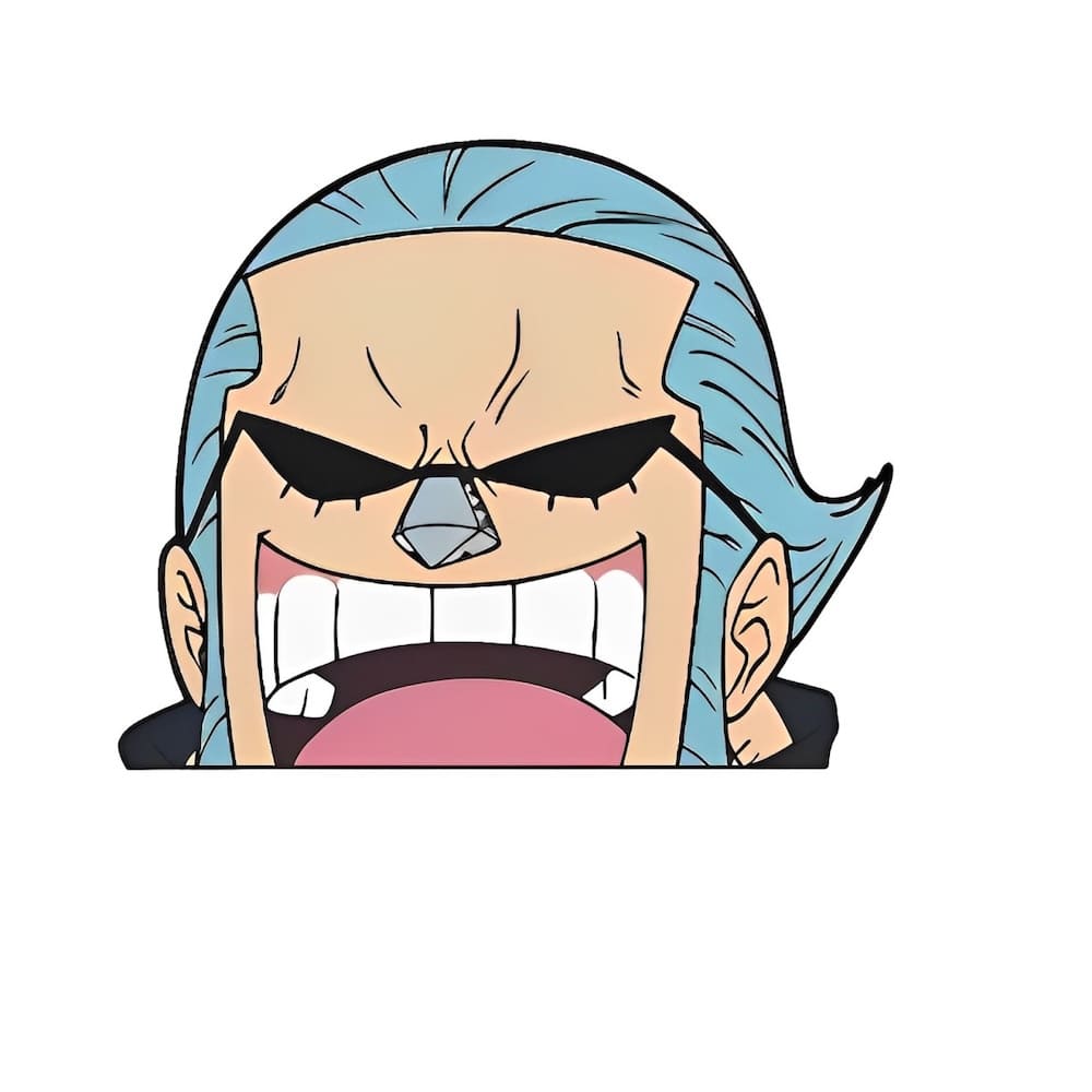 autocollant one piece face rd 7
