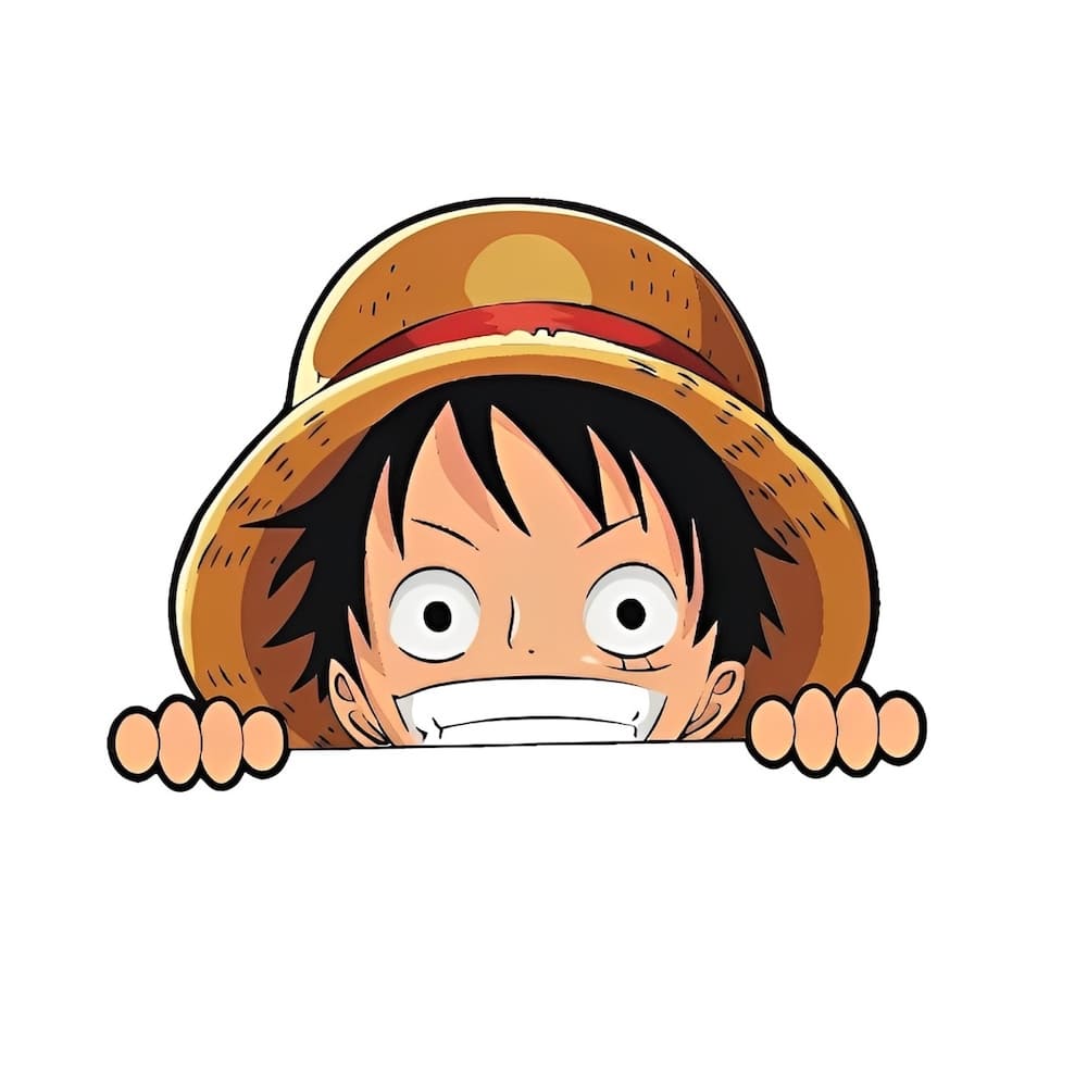 autocollant one piece faces st 7