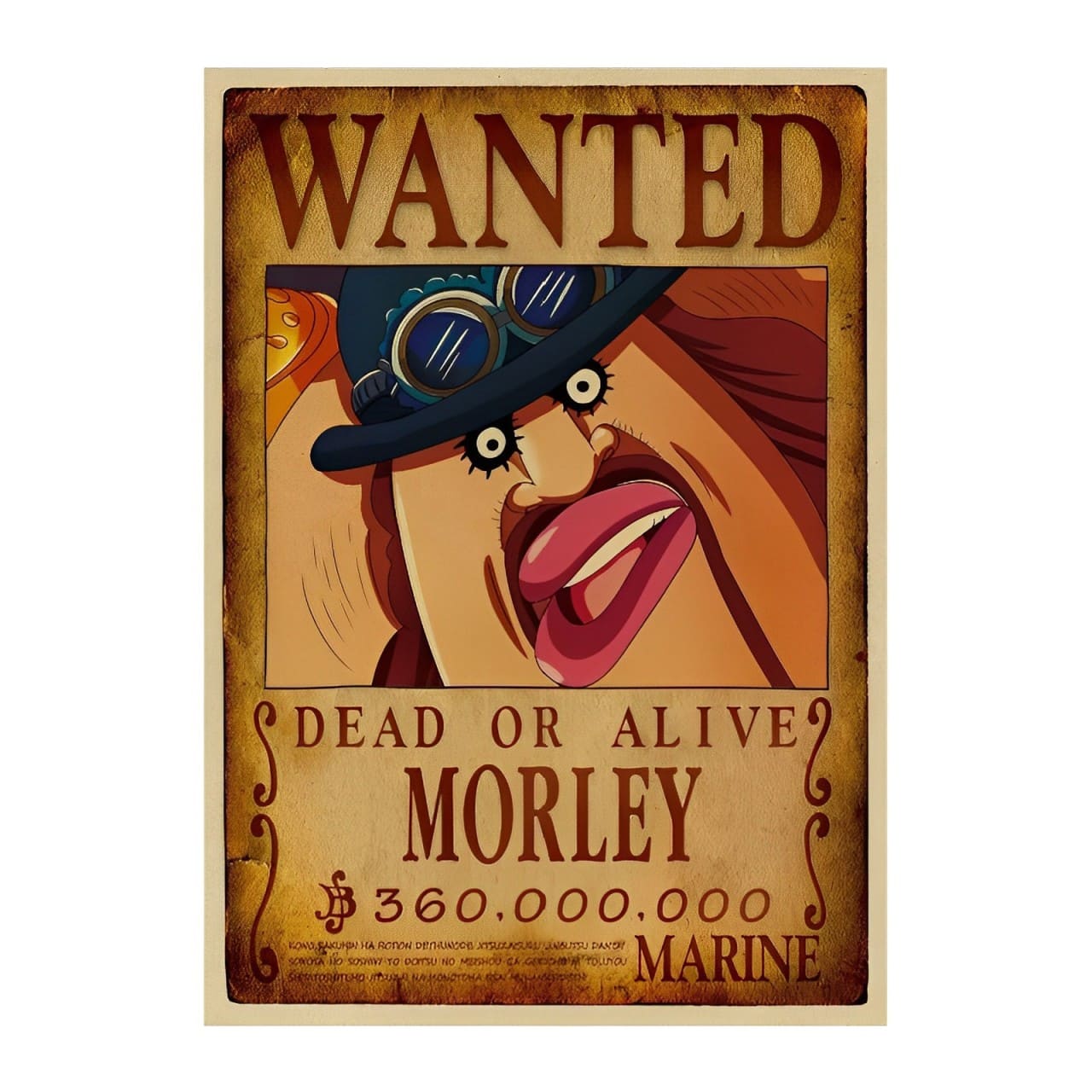 affiche wanted avis de recherche morley one piece