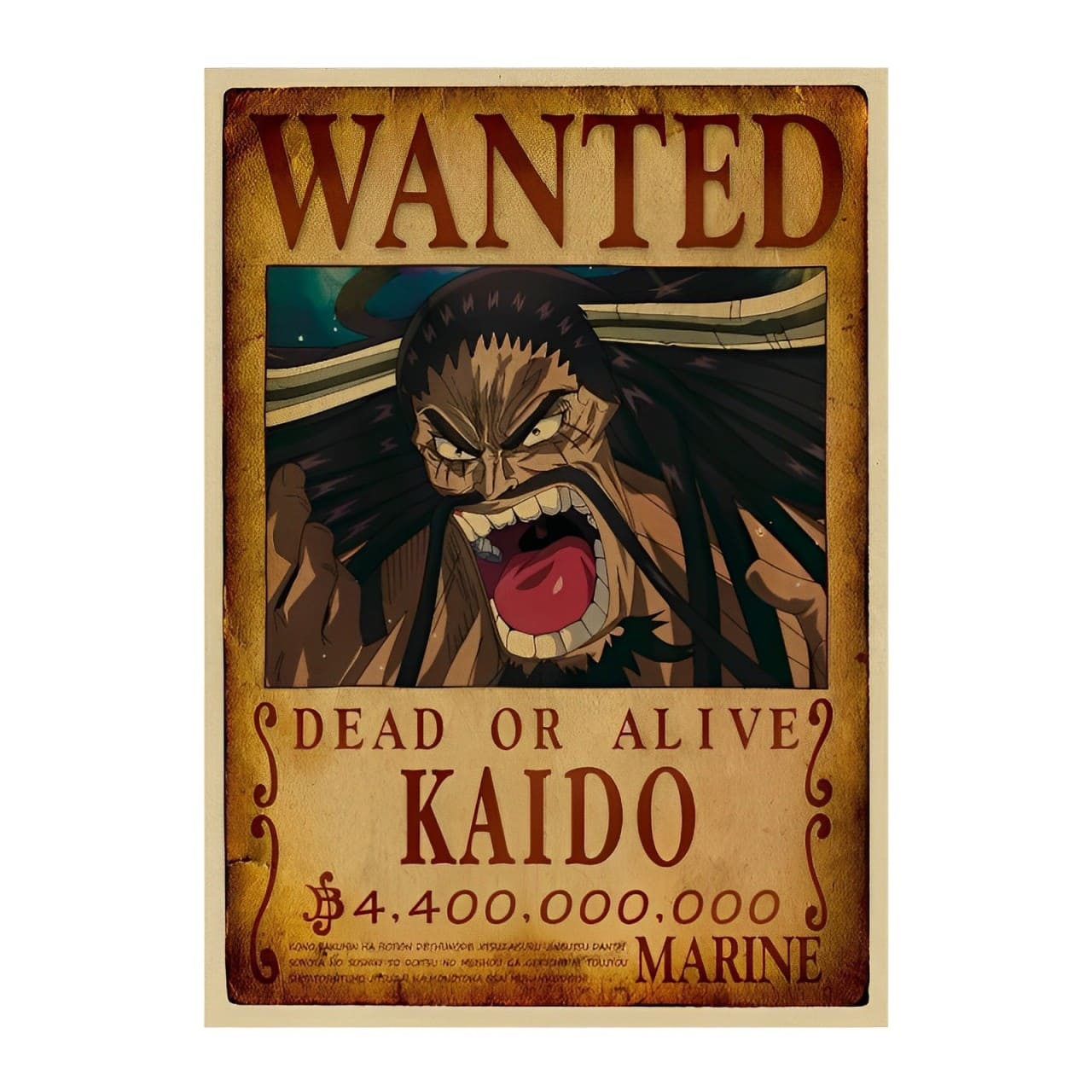 affiche wanted avis de recherche kaido one piece