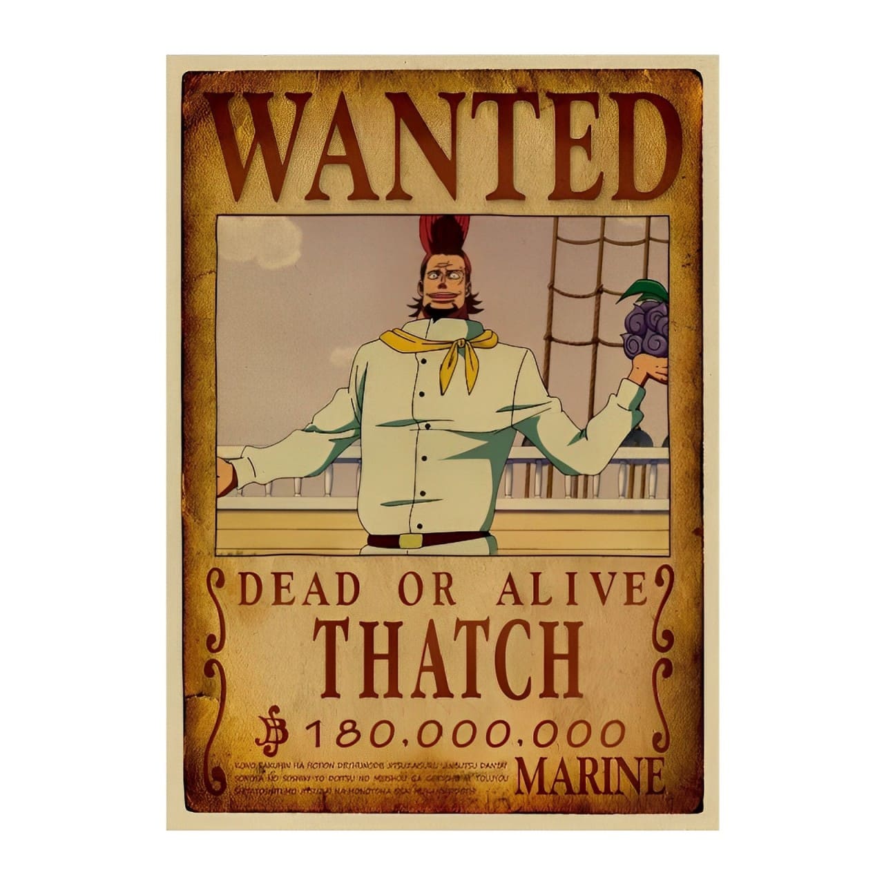 affiche wanted avis de recherche thatch one piece
