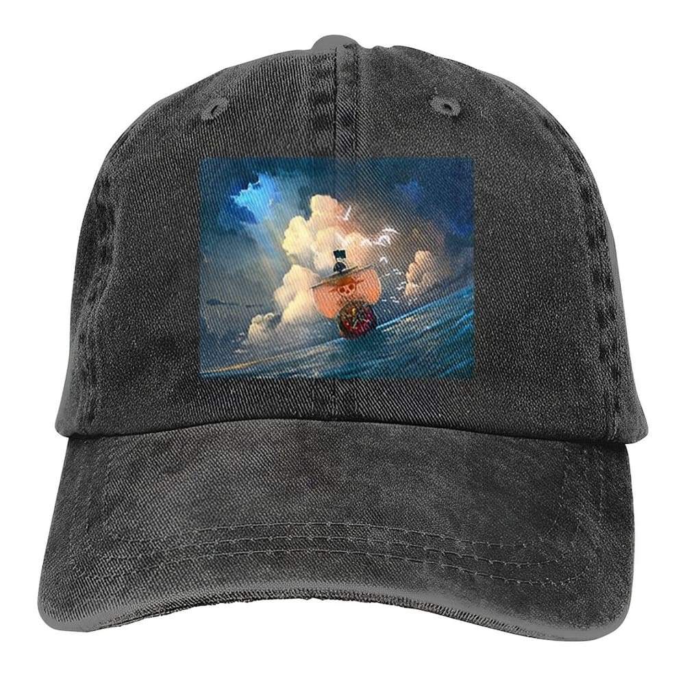 casquette one piece sunny 6