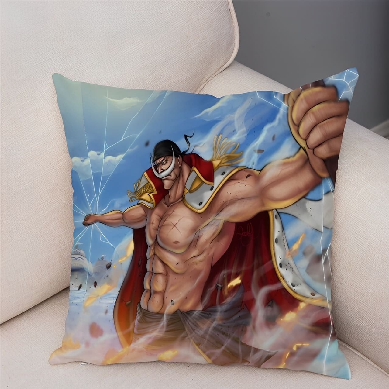 housse coussin one piece barbe blanche