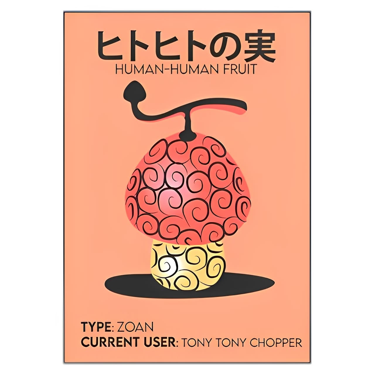 tableau toile one piece human human fruit 3