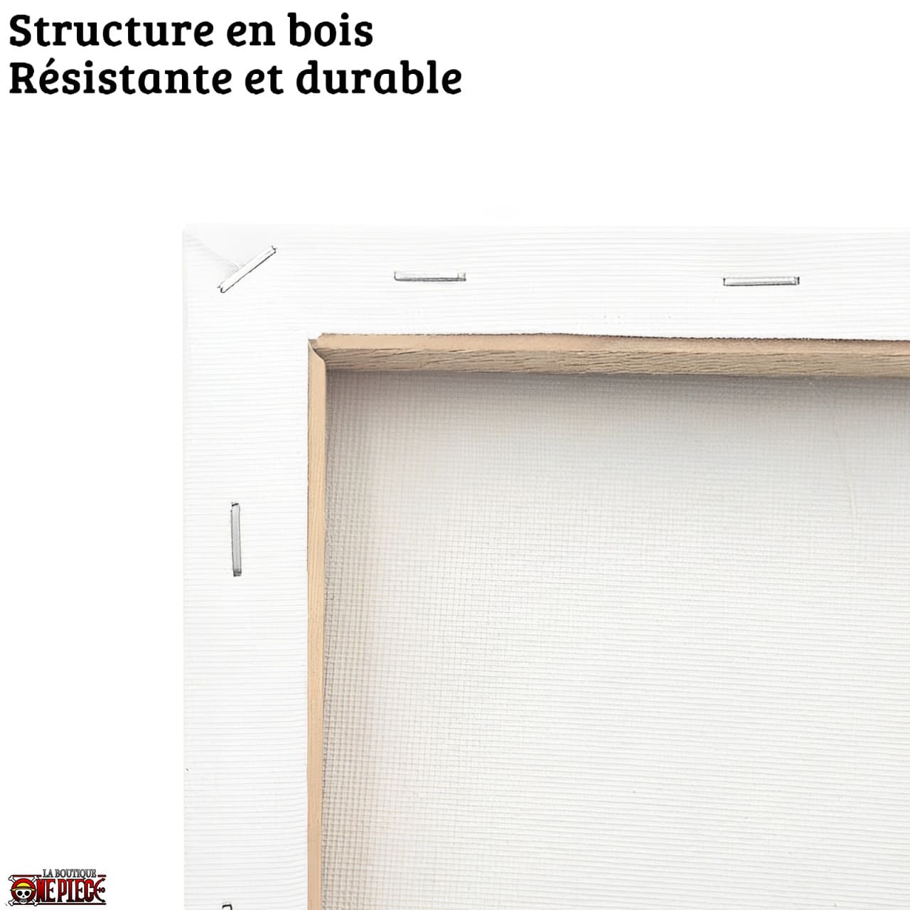 cadre tableaux toiles la boutique one piece