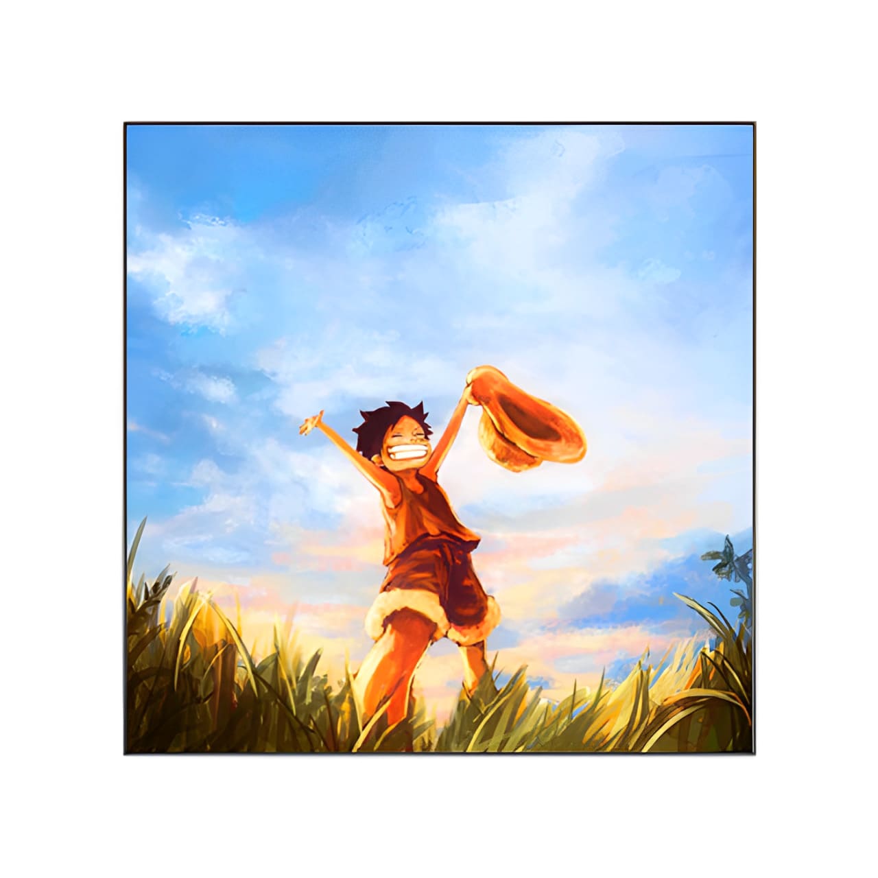 tableau toile one piece monkey luffy enfant 3