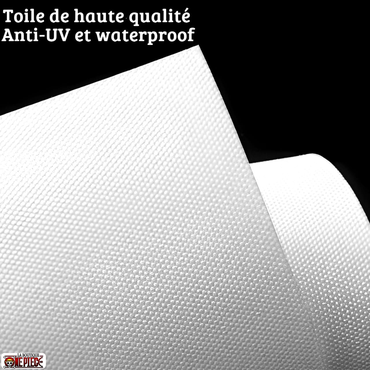 toiles tableaux qualite la boutique one piece
