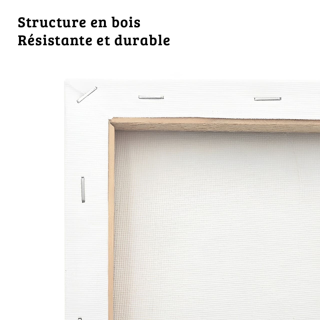 structure-en-bois-resistante-et-durable