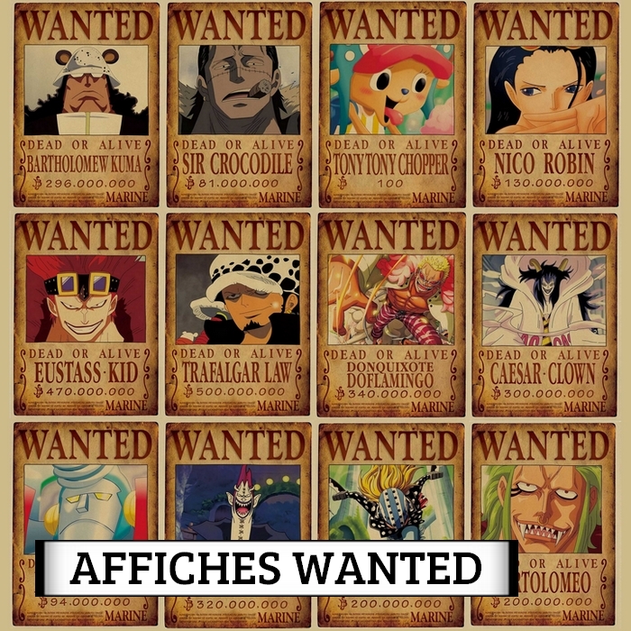 Avis De Recherche One Piece Crocodile Wanted - Boutique One Piece