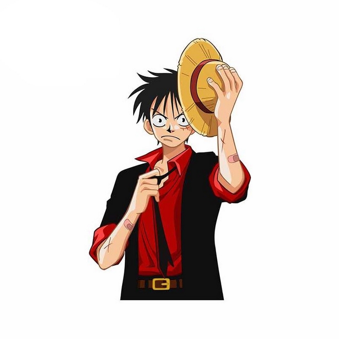 autocollant one piece monkey luffy costume