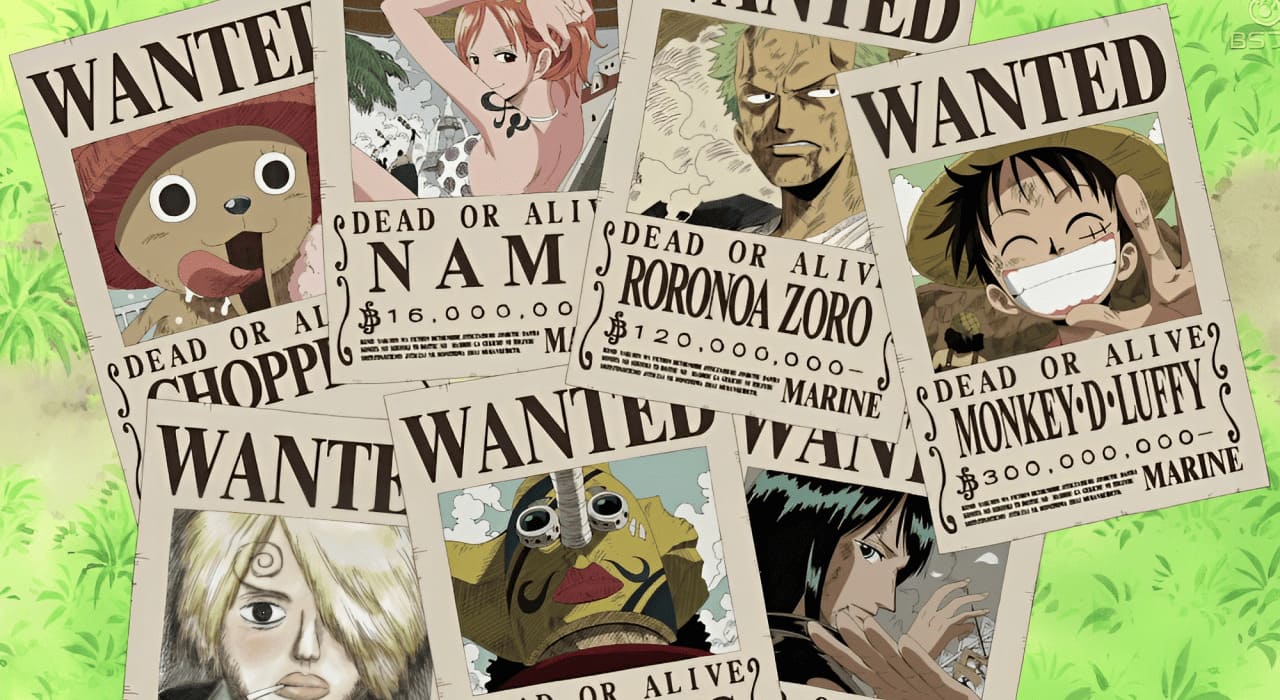 One Piece Illustration