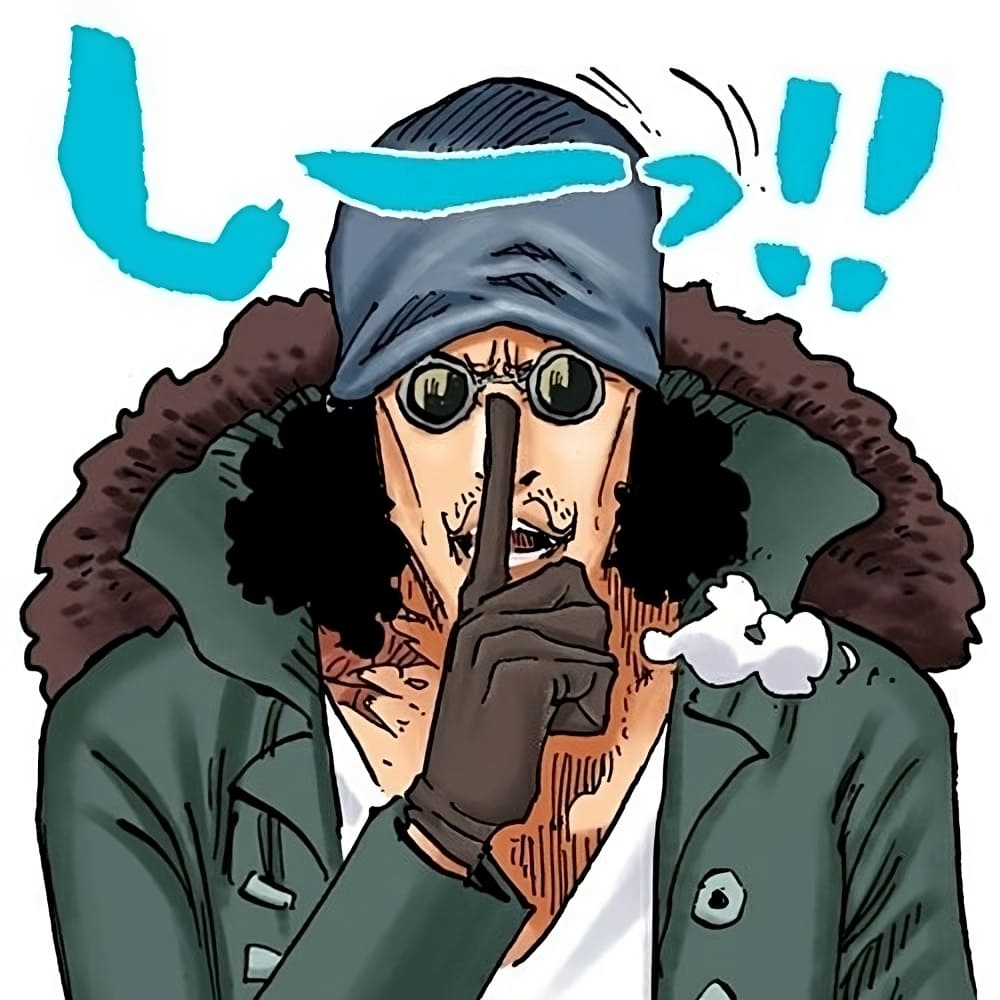 kuzan portant un bonnet d hiver et des lunettes dans one piece