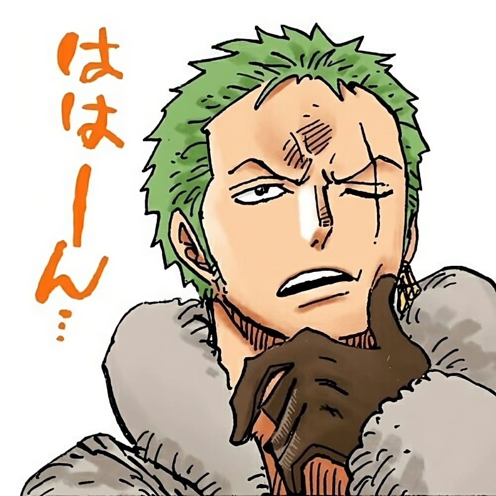 roronoa zoro portant un manteau d hiver et des gants dans one piece