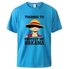 t shirt one piece protect nakama luffy bleu clair