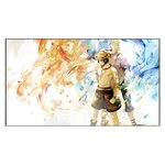 tableau toile one piece portgas ace marco 3