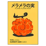 tableau toile one piece flame flame fruit 3