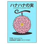 tableau toile one piece flower flower fruit 3