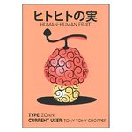 tableau toile one piece human human fruit 3