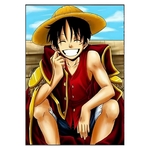 tableau toile one piece monkey luffy smile 3