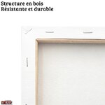 cadre tableaux toiles la boutique one piece