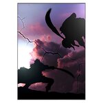 tableau toile one piece roger newgate shadows 3