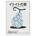 tableau toile one piece string string fruit 3