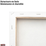 cadre tableaux toiles la boutique one piece