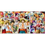 tableau toile one piece 3 parties roi pirates 3