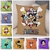 housse coussin mugiwara panda one piece 1