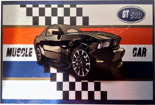 plaque ford mustang gt500