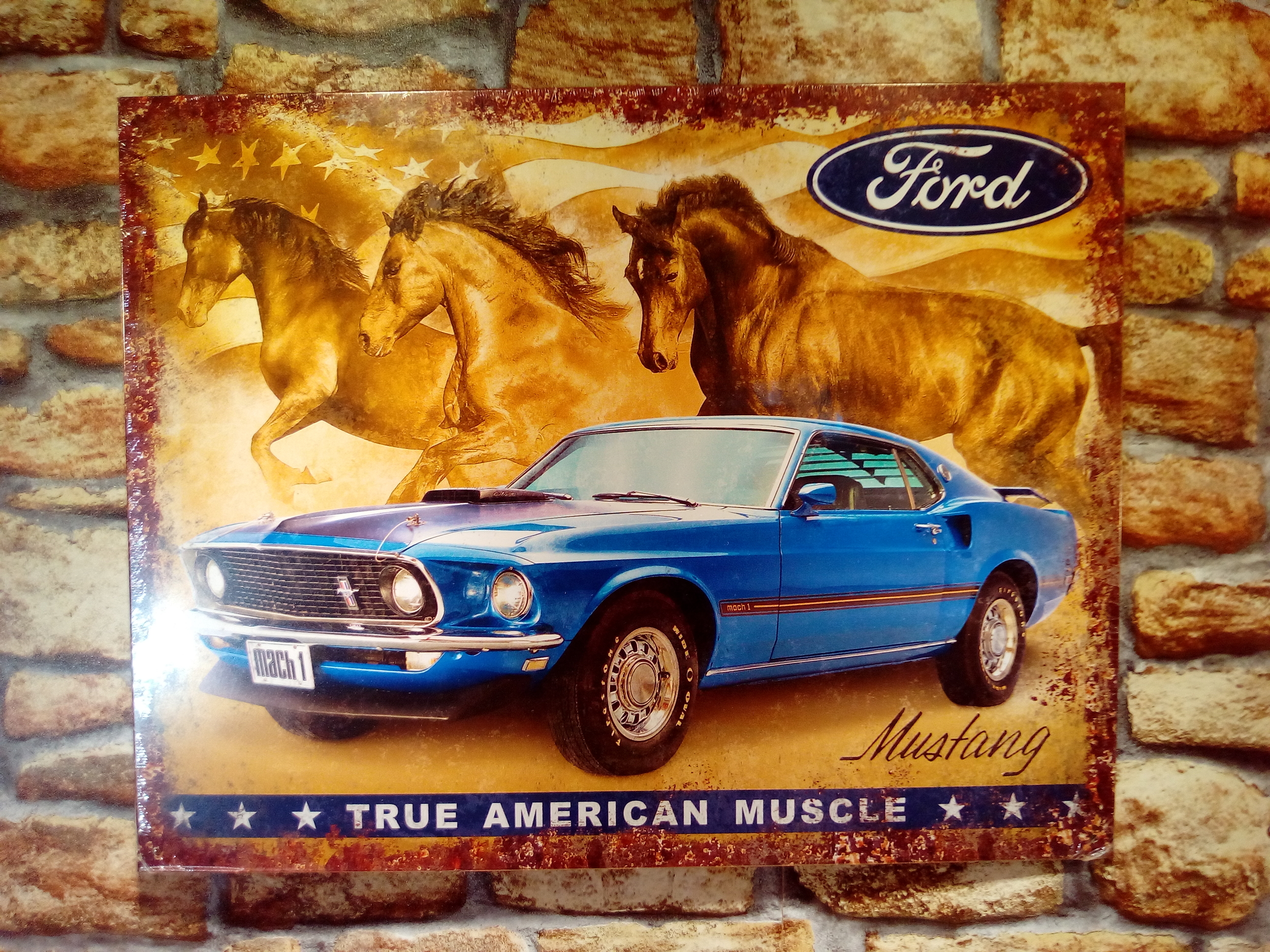 plaque tôle ford mustang mach 1 bleue