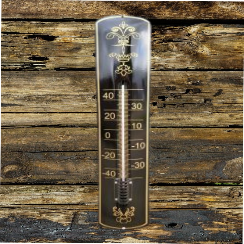 thermomètre émaillé noir vintage