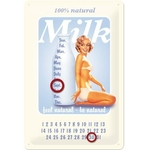 calendrier-metal-pin-up-vintage