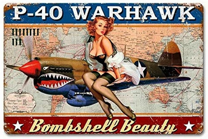 Plaque Vintage P 40 Warhawk Garageatelierles Plaques Publicitaires Le Grenier Vintage 