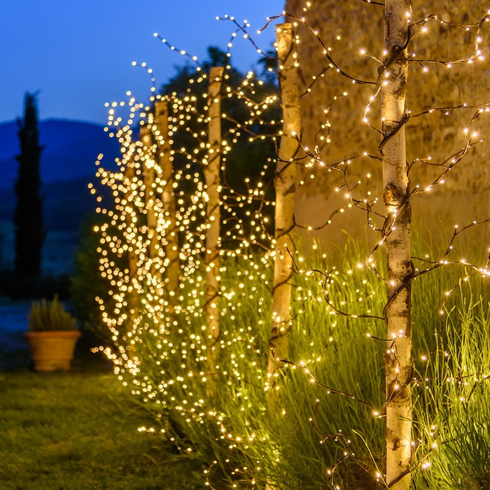 Branche lumineuse LED blanc - L'Incroyable