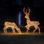 duo de grands rennes lumineux de noël vendu sur deco-lumineuse.fr